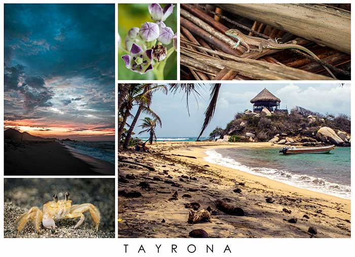 Collage fotos tayrona