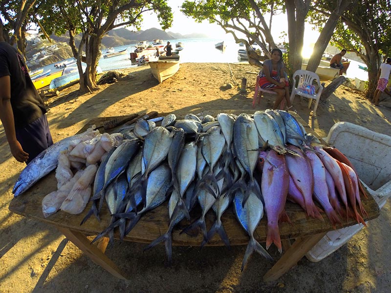venta de pescados e Taganga